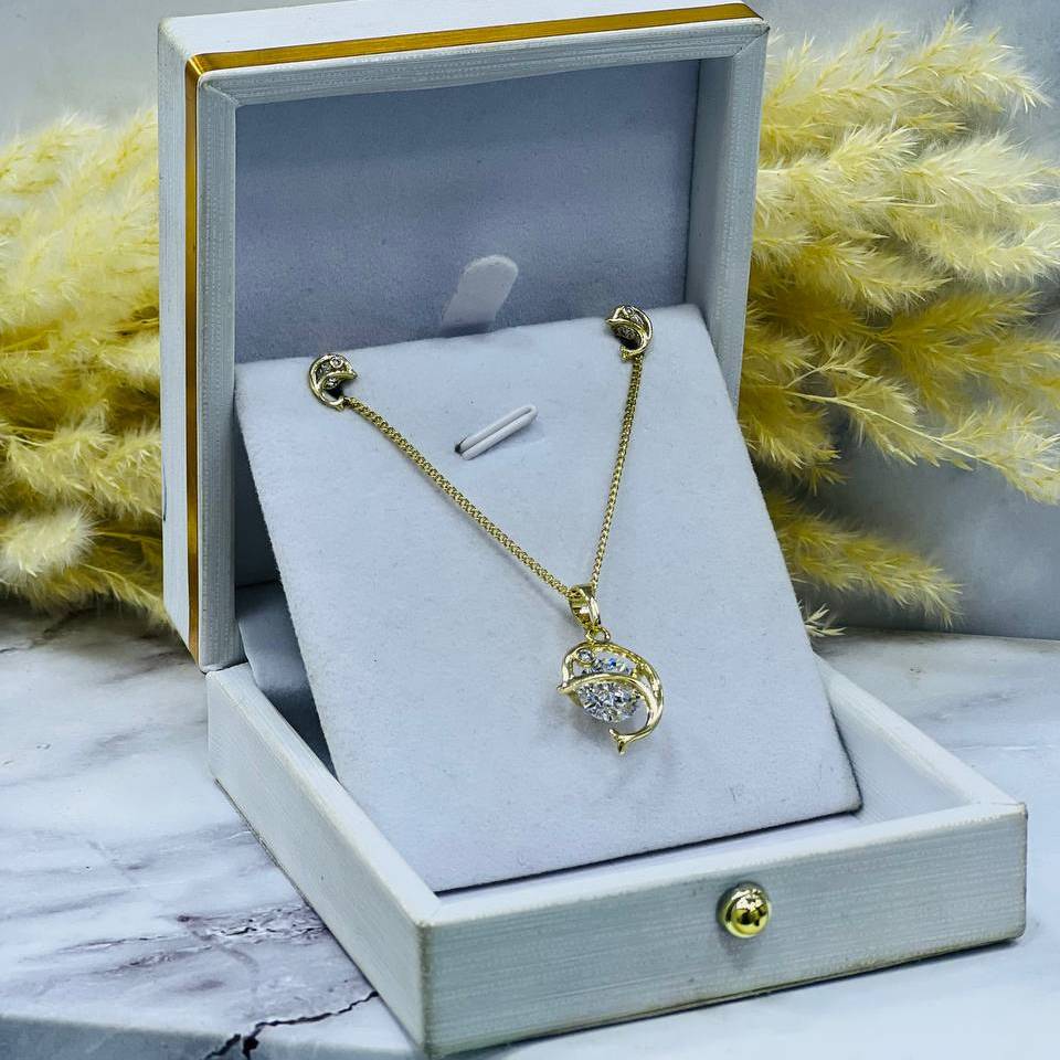 Collier et boucle en acier inoxydable